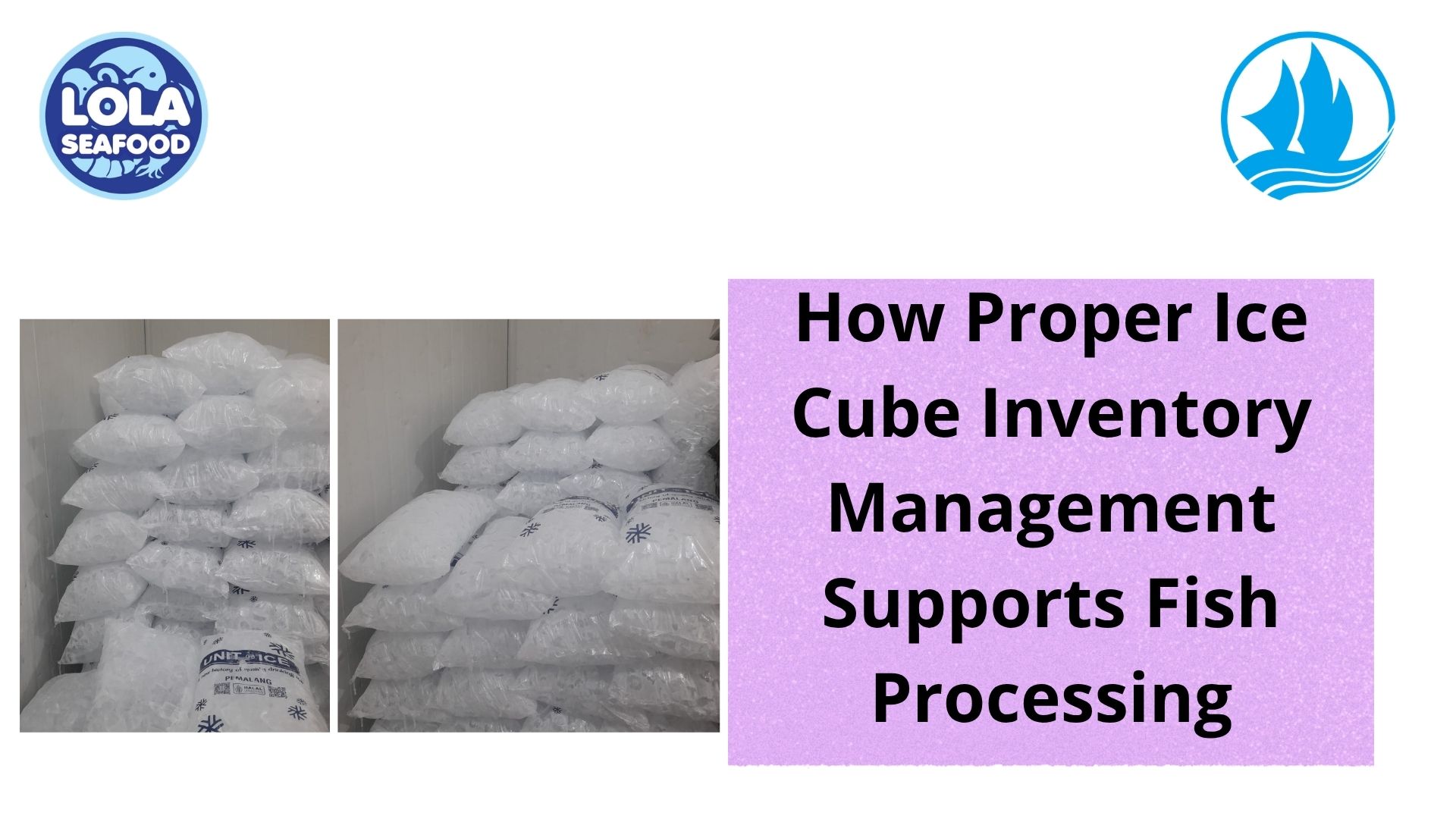  How Proper Ice Cube Inventory Management Supports Fish Processing